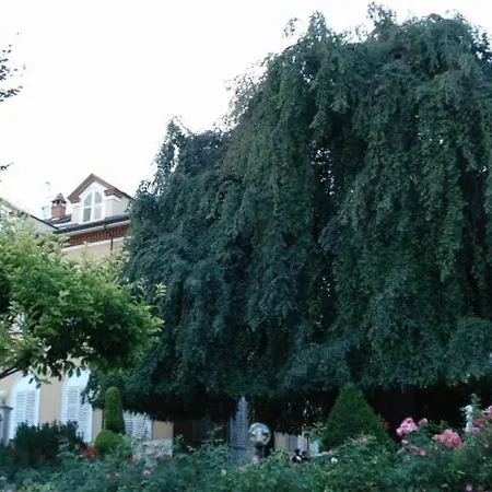 Park Salzea Trofarello