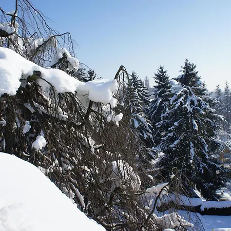 赛兹别墅公园酒店 酒店 特罗法雷洛