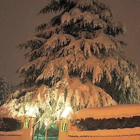 Park Salzea