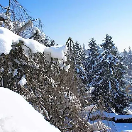 Hotel Park Salzea Trofarello
