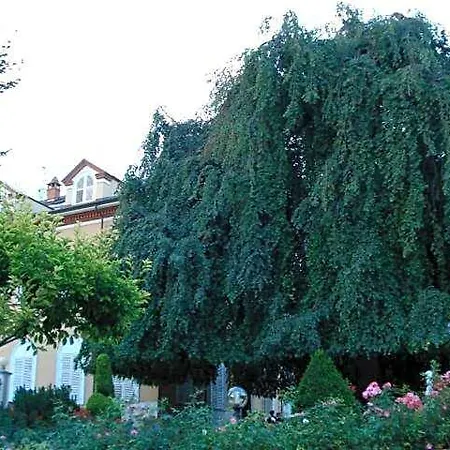 Park Salzea